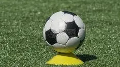 雷竞技RAYBET电竞竞猜 资讯 101955 b2e